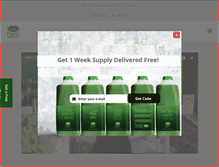 Tablet Screenshot of chefv.com